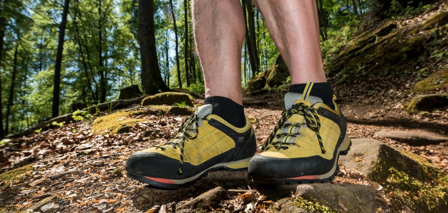 Fotos Pfälzer Wald Wandern Fotografie Sabine Hafner Bruchmühlbach