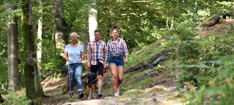 Fotos Pfälzer Wald Wandern Fotografie Sabine Hafner Bruchmühlbach