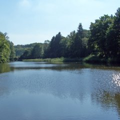 Schwarzweiher